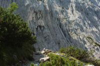 2014-08-02_06FritzPflaum-Steig (214).JPG